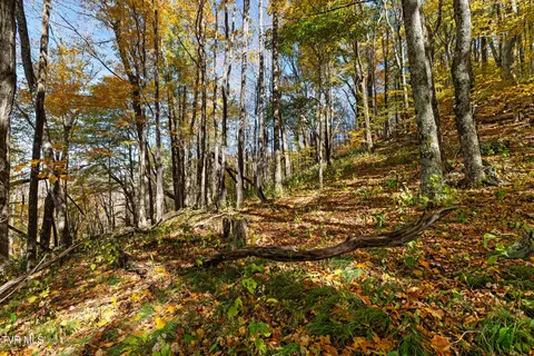 tbd Modock Northeast Road Trade Tn 37691, Trade, TN 37691 photo 2