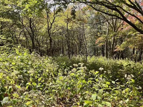 tbd Modock Northeast Road Trade Tn 37691, Trade, TN 37691 photo 5