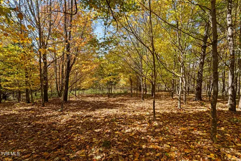 tbd Modock Northeast Road Trade Tn 37691, Trade, TN 37691