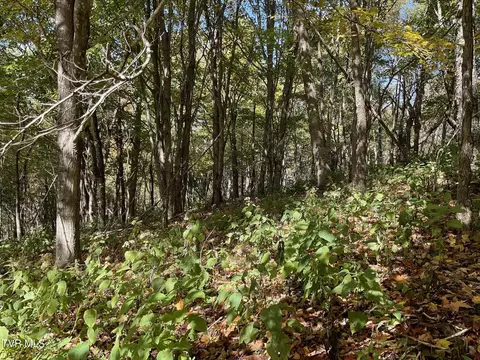 tbd Modock Northeast Road Trade Tn 37691, Trade, TN 37691 photo 6