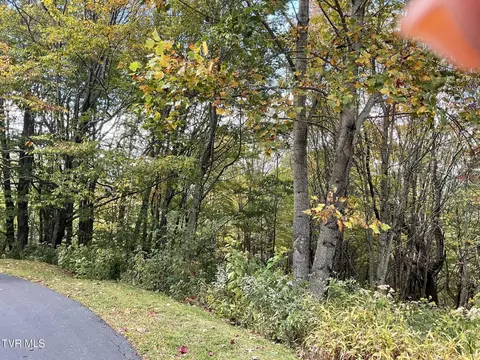 tbd Modock Northeast Road Trade Tn 37691, Trade, TN 37691 photo 4