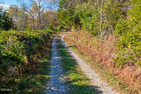 275 Wake Forest Road Eidson Tn 37731, Eidson, TN 37731 photo 43