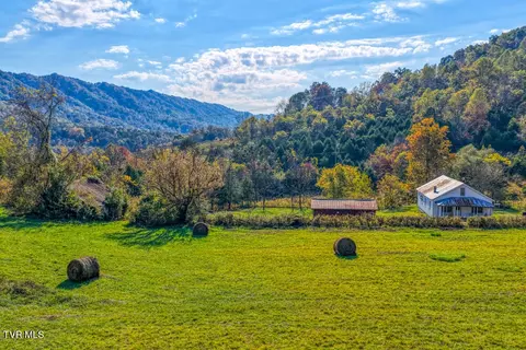 275 Wake Forest Road Eidson Tn 37731, Eidson, TN 37731 photo 25
