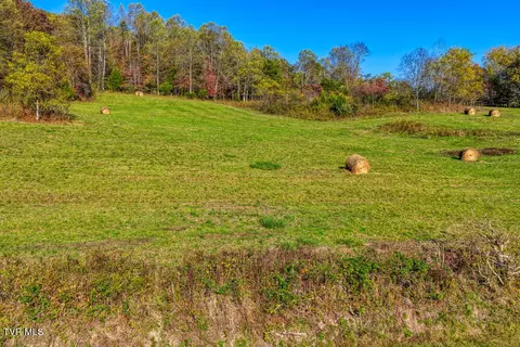 275 Wake Forest Road Eidson Tn 37731, Eidson, TN 37731 photo 23