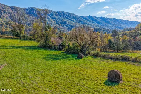 275 Wake Forest Road Eidson Tn 37731, Eidson, TN 37731 photo 31
