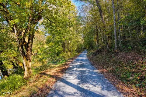 275 Wake Forest Road Eidson Tn 37731, Eidson, TN 37731 photo 19