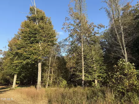 tbd Smith Hollow Road Church Hill Tn 37642, Church Hill, TN 37642