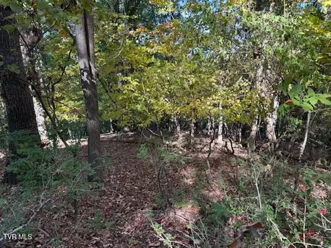 tbd Clifton Road Bristol Tn 37620, Bristol, TN 37620 photo 16