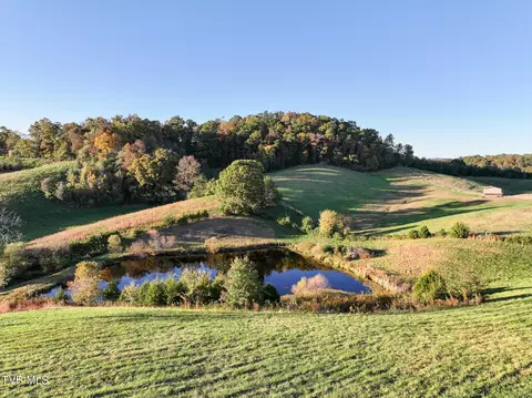 290 Roaring Fork Road Greeneville Tn 37745, Greeneville, TN 37745 photo 4