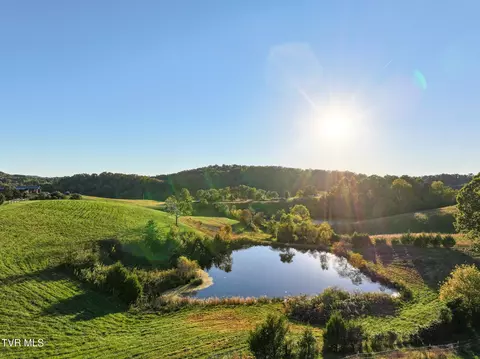 290 Roaring Fork Road Greeneville Tn 37745, Greeneville, TN 37745 photo 29