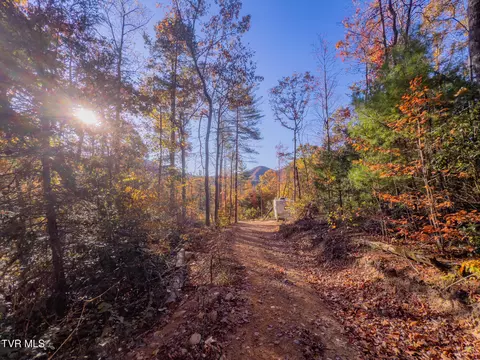 299 Morton Road Hampton Tn 37658, Hampton, TN 37658 photo 6