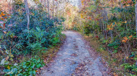 299 Morton Road Hampton Tn 37658, Hampton, TN 37658 photo 8
