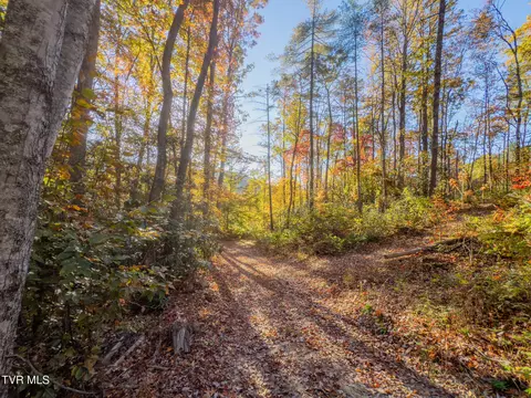 299 Morton Road Hampton Tn 37658, Hampton, TN 37658 photo 3