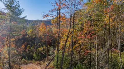 299 Morton Road Hampton Tn 37658, Hampton, TN 37658 photo 7