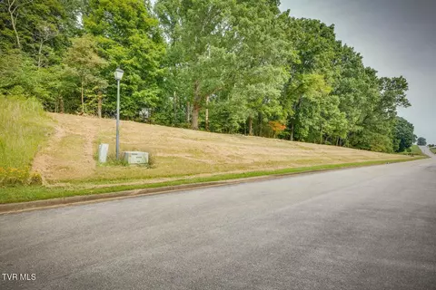 lot41 Chimney Top Lane Chuckey Tn 37641, Chuckey, TN 37641