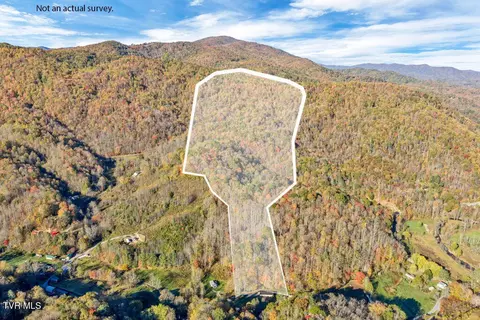 tbd Hogum Hollow Road Roan Mountain Tn 37687, Roan Mountain, TN 37687