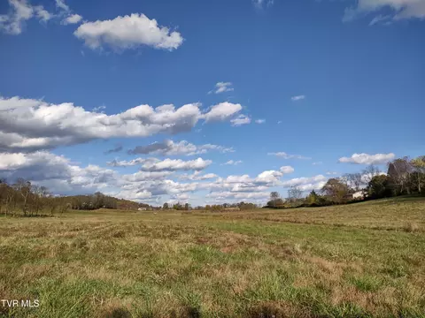 tbd Springfield Drive Meadowview Va 24361, Meadowview, VA 24361 photo 14