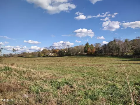 tbd Springfield Drive Meadowview Va 24361, Meadowview, VA 24361