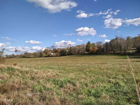 tbd Springfield Drive Meadowview Va 24361, Meadowview, VA 24361 photo 13