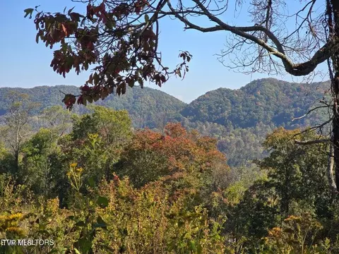 tbd Copper Ridge Road Eidson Tn 37731, Eidson, TN 37731