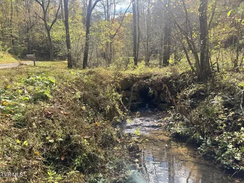 150 Little Branch Road Flag Pond Tn 37657, Flag Pond, TN 37657