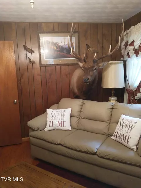 Living - 348 Clinch Valley Road Eidson Tn 37731, Eidson, TN 37731 photo 2 of 3
