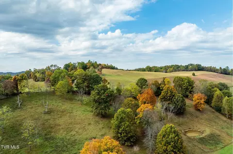 Exterior - 348 Clinch Valley Road Eidson Tn 37731, Eidson, TN 37731 photo 11 of 37