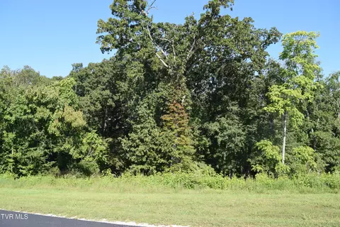 347 Water View Drive Rockwood Tn 37854, Rockwood, TN 37854