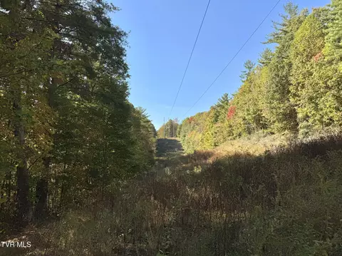 tbd Grave Hill Rd E Oneida Tn 37841, Oneida, TN 37841 photo 6