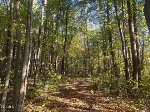 tbd Grave Hill Rd E Oneida Tn 37841, Oneida, TN 37841 photo 5