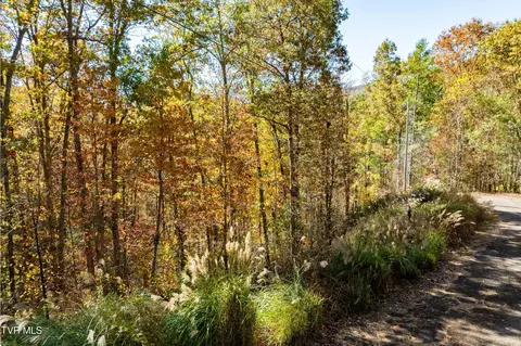 tbd 000 Blackberry Hill Lane Mountain City Tn 37683, Mountain City, TN 37683