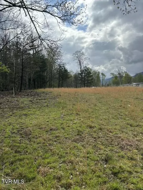 lot4 Laws Road Greeneville Tn 37743, Greeneville, TN 37743