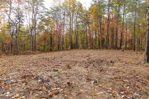 tbd Bill Martin Road Afton Tn 37616, Afton, TN 37616