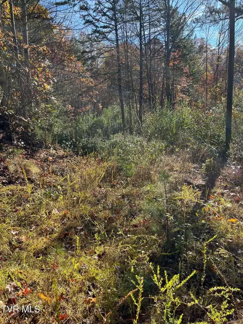 tbd Big Ridge Road Haysi Va 24256, Haysi, VA 24256