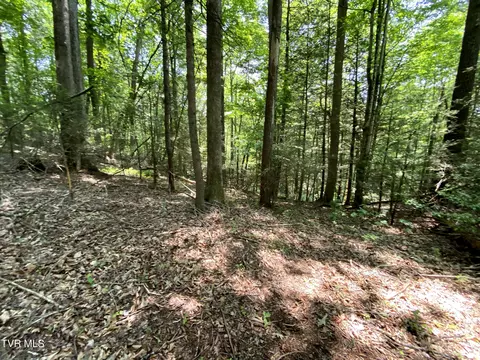 000 Woodchuck Way Mountain City Tn 37683, Mountain City, TN 37683