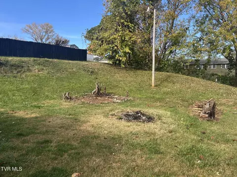 2107 E Watauga Avenue Johnson City Tn 37601, Johnson City, TN 37601 photo 4
