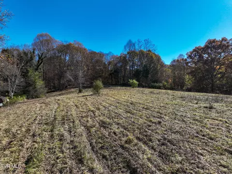 297 Bluff Road Blountville Tn 37617, Blountville, TN 37617