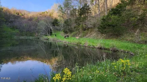 View/Area - 251 Fee Trail Ewing Va 24248, Ewing, VA 24248 photo 3 of 3