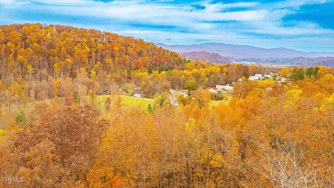 0 Siam Road Elizabethton Tn 37643, Elizabethton, TN 37643