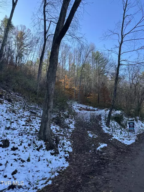 tbd Old Hwy Road Erwin Tn 37650, Erwin, TN 37650