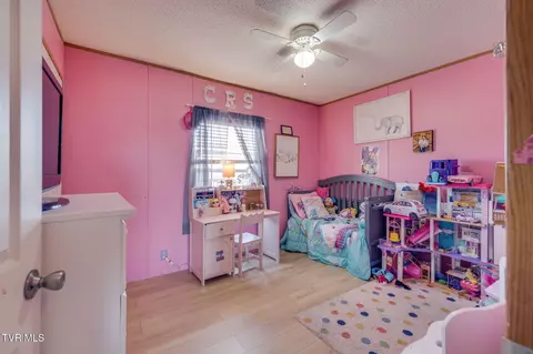 Bedroom - 175 Forest Road Mosheim Tn 37818, Mosheim, TN 37818 photo 4 of 4