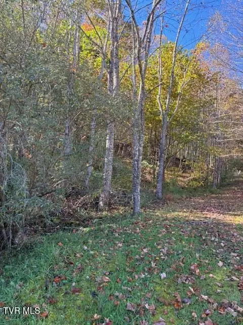 0 Country Meadow Drive Norton Va 24273, Norton, VA 24273