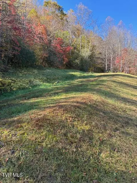0 Country Meadow Drive Norton Va 24273, Norton, VA 24273
