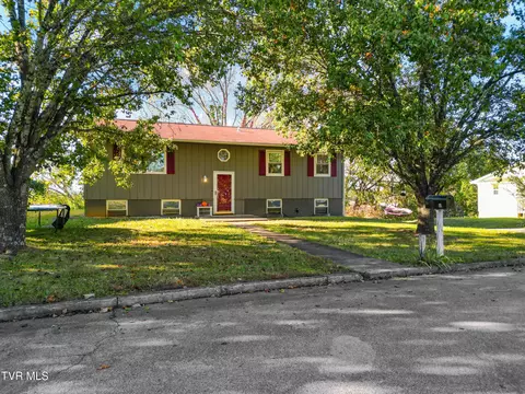115 Cedar Street Greeneville Tn 37743, Greeneville, TN 37743