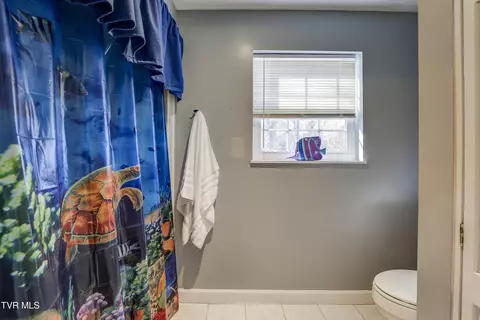 Bath - 312 Ivanhoe Drive Johnson City Tn 37601, Johnson City, TN 37601 photo 3 of 5