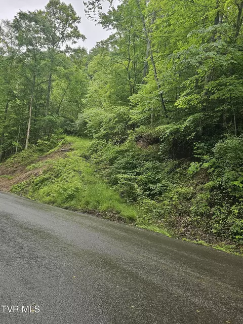 1068 Lesters Fork Road Grundy Va 24614, Grundy, VA 24614