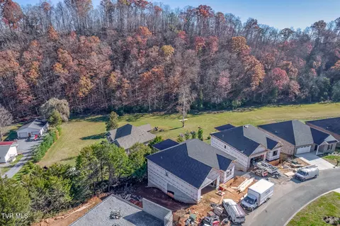 View/Area - 111 Quiet Stroll Lane Gray Tn 37615, Gray, TN 37615 photo 4 of 5