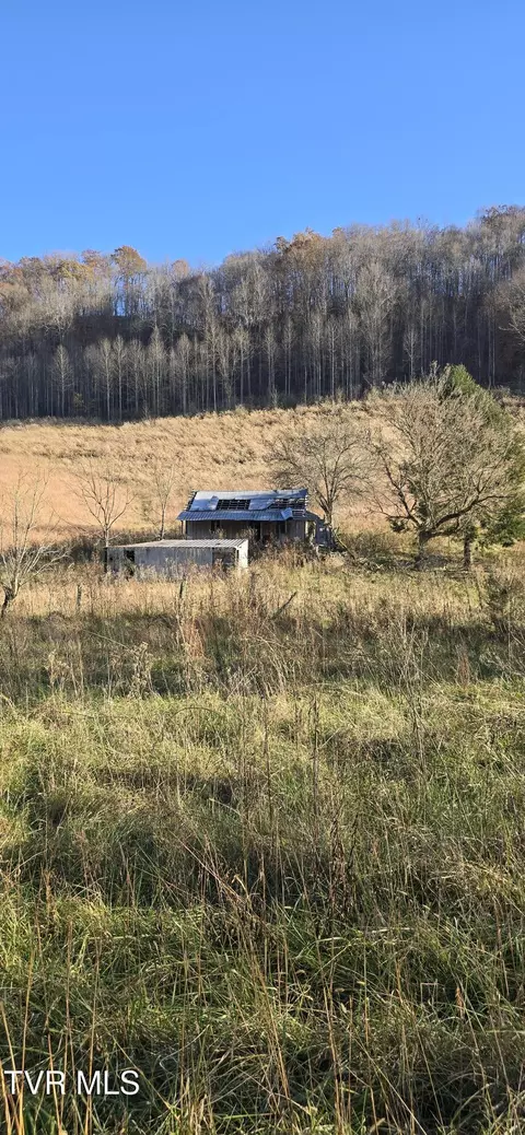 2351 Line Road Eidson Tn 37731, Eidson, TN 37731 photo 4