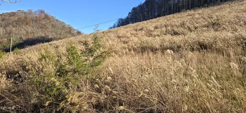 2351 Line Road Eidson Tn 37731, Eidson, TN 37731 photo 9