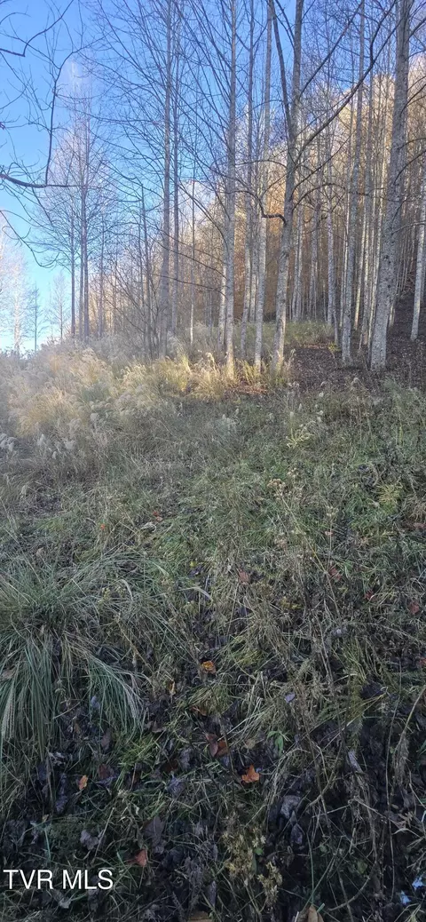 2351 Line Road Eidson Tn 37731, Eidson, TN 37731 photo 7